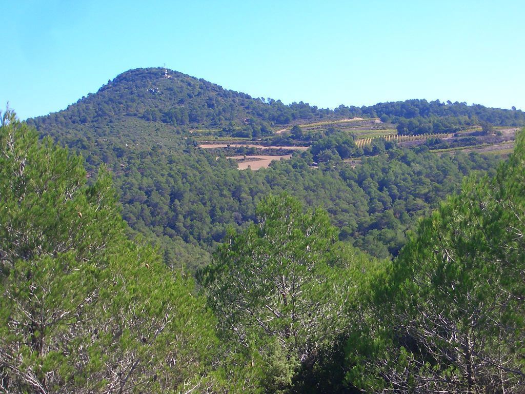 garrotxa07 028.jpg